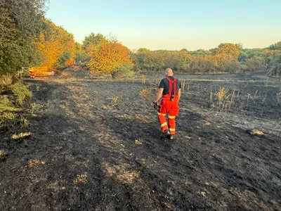 Scorched ground and remaining vegetation at Alver Valley Country Park following the grassland fire